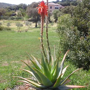 2* Guest house Valverde Di Naitana Rita